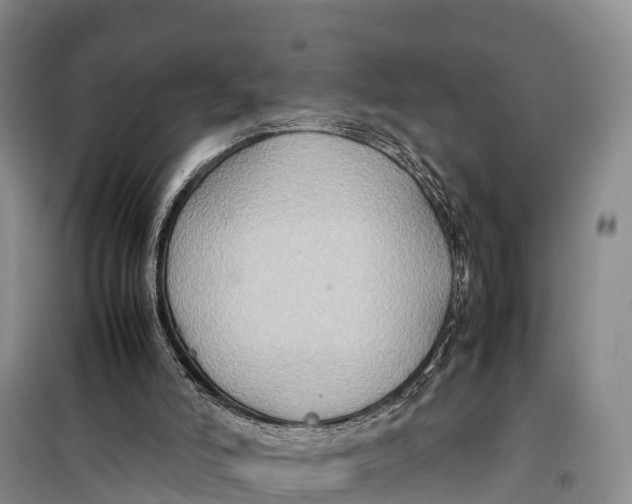 X0000099230006200805151640