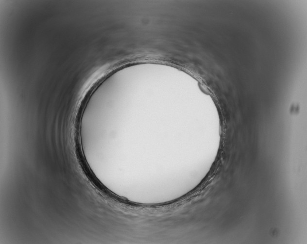 X0000099230007200805151640