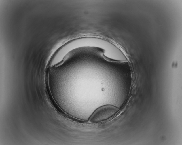 X0000099230008200805151640