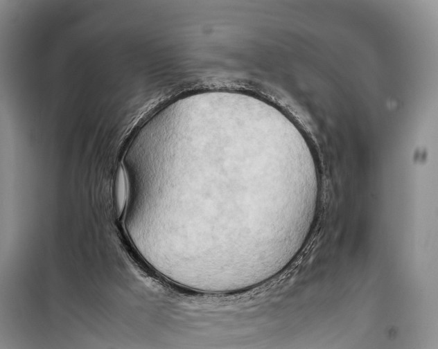 X0000099230009200805151640