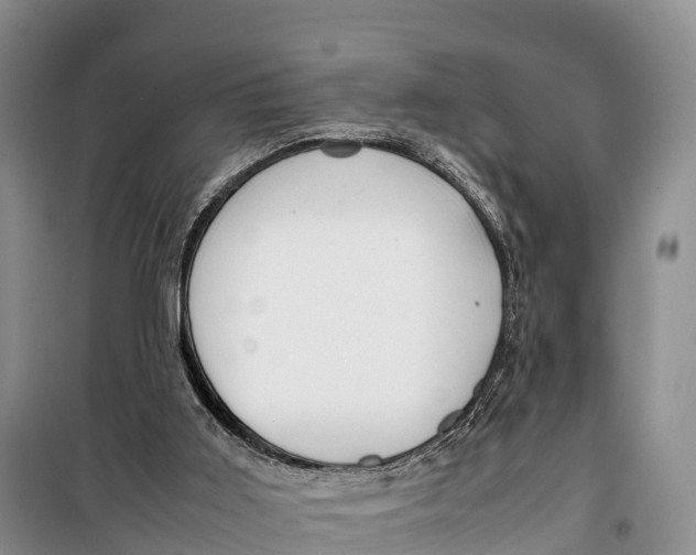 X0000099230011200805151640