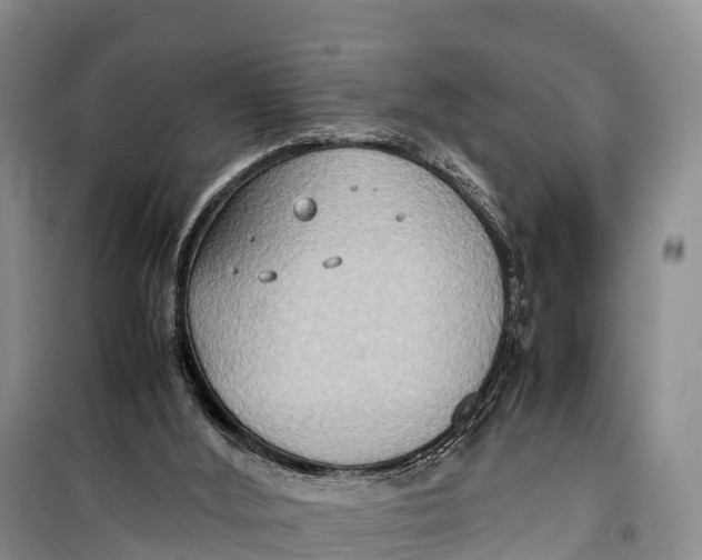 X0000099230012200805151640