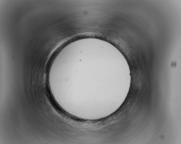 X0000099230016200805151640