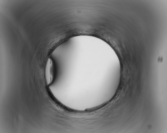 X0000099230017200805151640