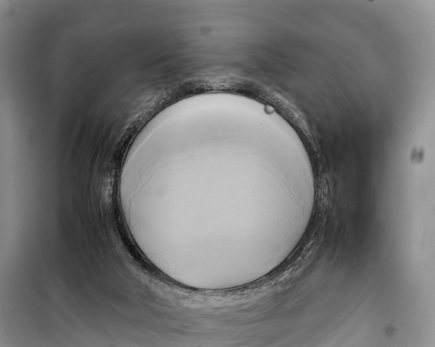 X0000099230018200805151640