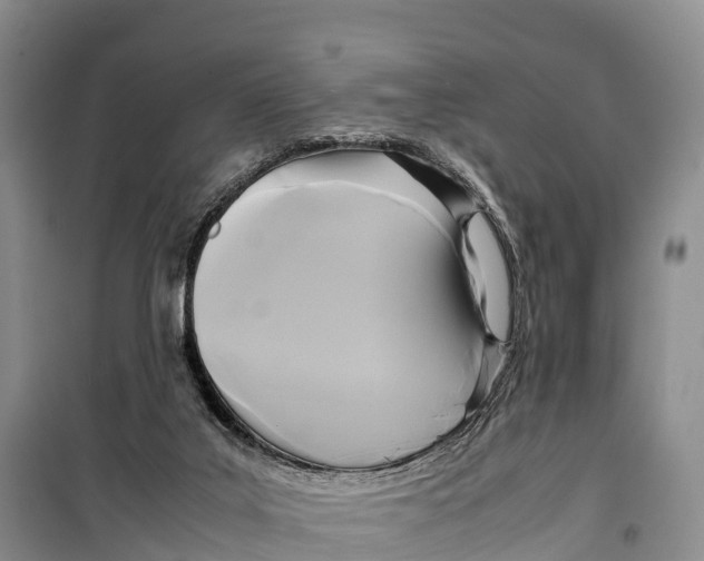 X0000099230019200805151640