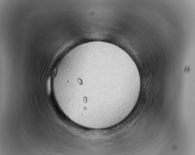 X0000099230020200805151640