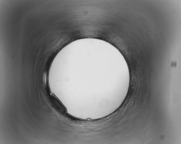 X0000099230021200805151640