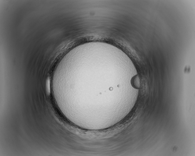 X0000099230022200805151640