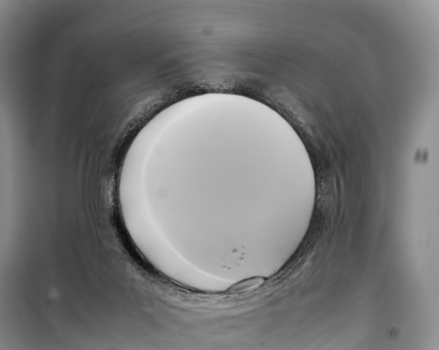 X0000099230023200805151640