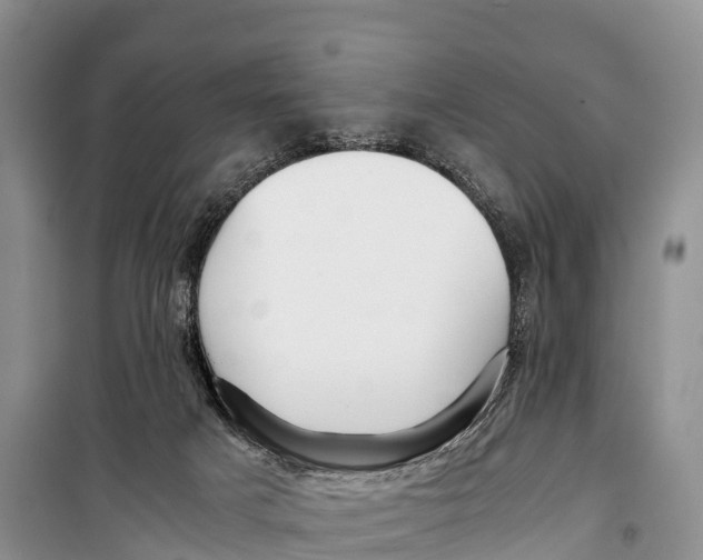 X0000099230025200805151640