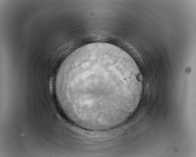 X0000099230026200805151640