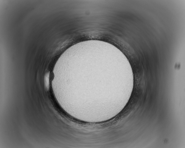 X0000099230028200805151640