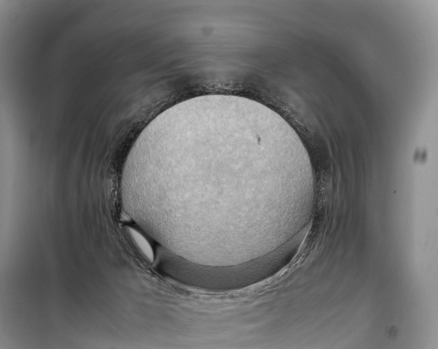 X0000099230029200805151640