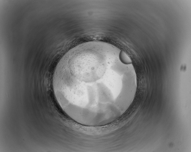 X0000099230030200805151640