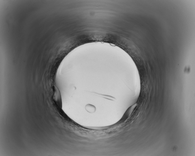 X0000099230031200805151640