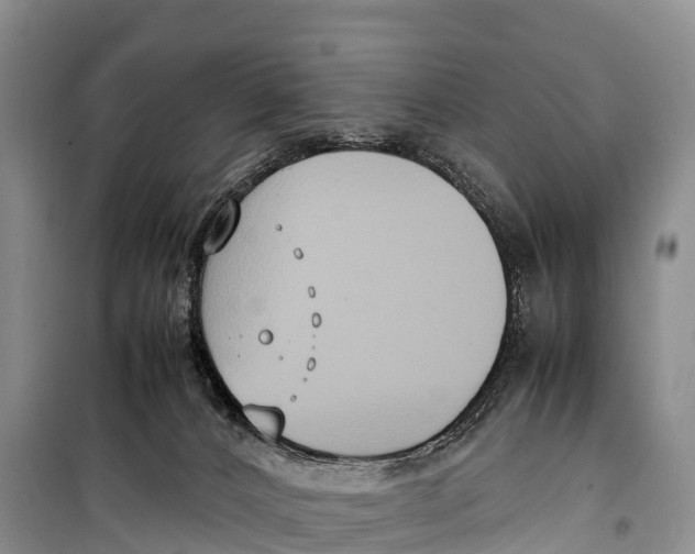 X0000099230032200805151640