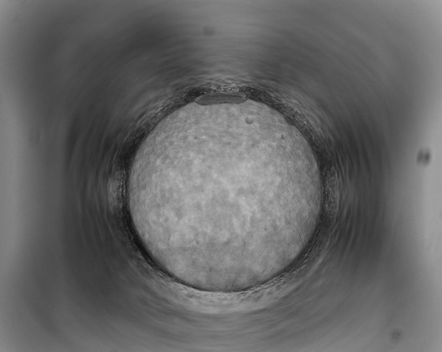 X0000099230034200805151639