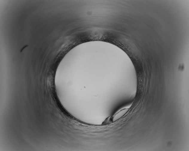 X0000099230035200805151639