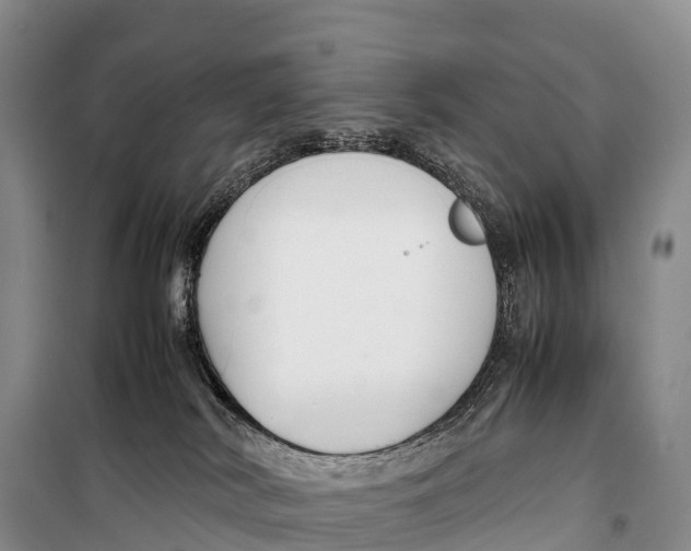 X0000099230038200805151639