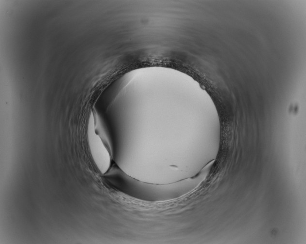 X0000099230039200805151639