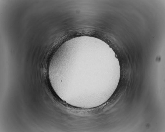 X0000099230040200805151639