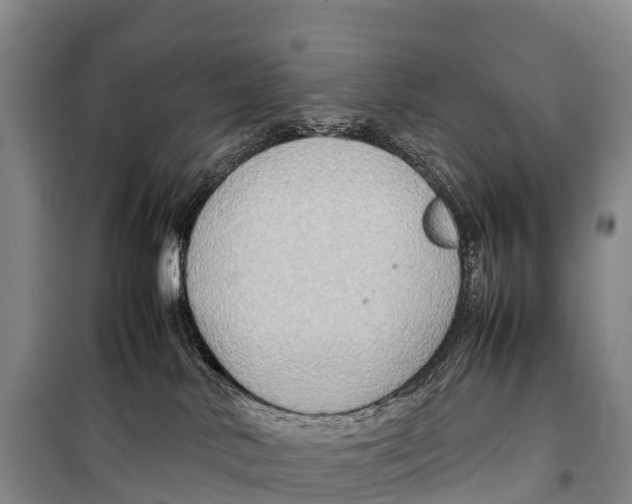 X0000099230042200805151639