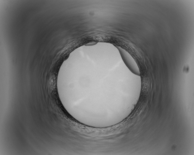 X0000099230043200805151639