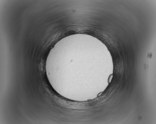 X0000099230044200805151639