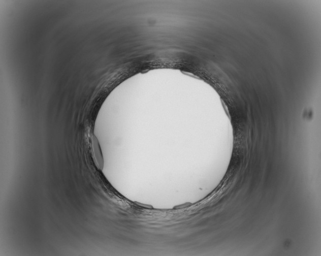 X0000099230045200805151639