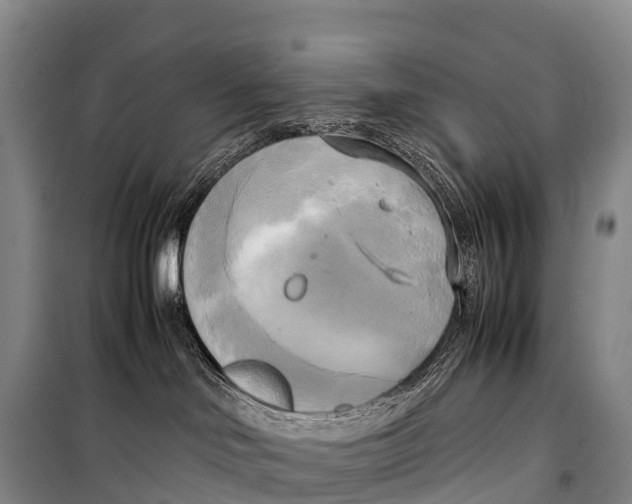 X0000099230046200805151639