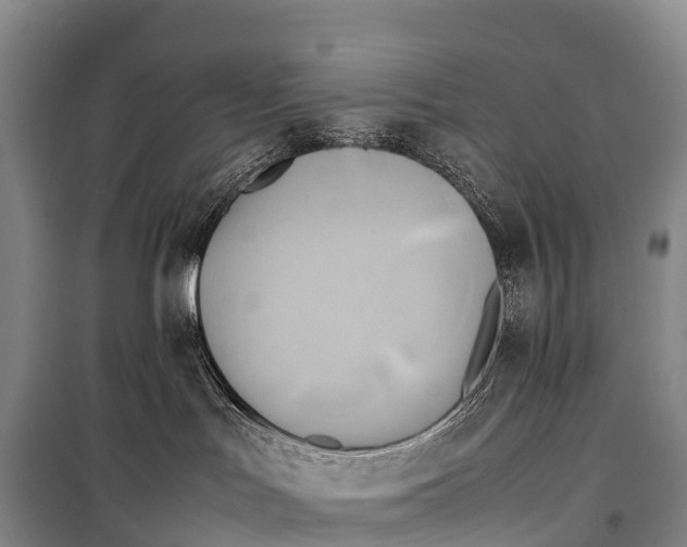 X0000099230047200805151639