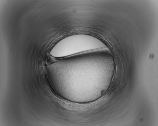 X0000099230048200805151639