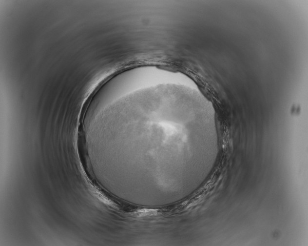 X0000099230052200805151639