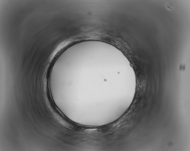 X0000099230054200805151639