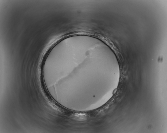 X0000099230055200805151639