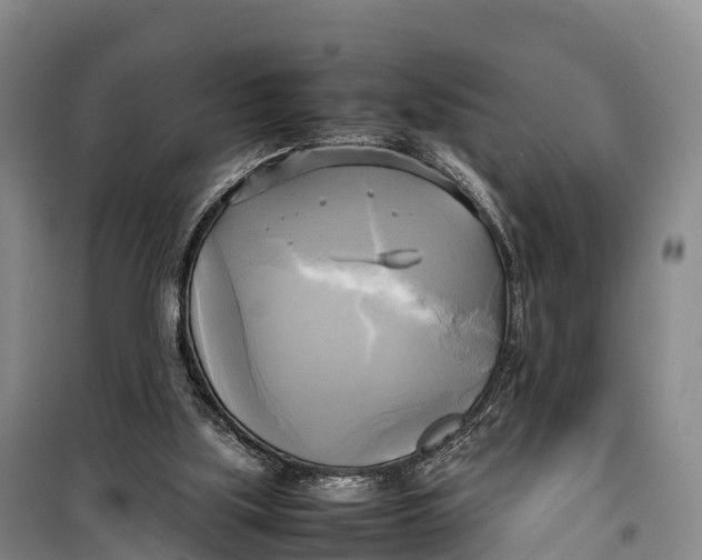 X0000099230059200805151639