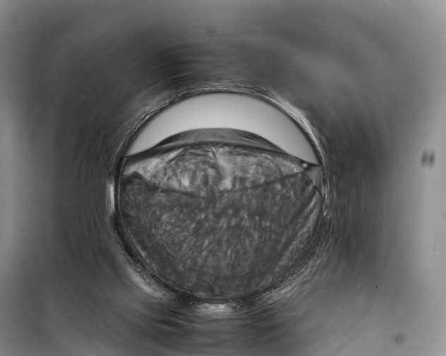 X0000099230061200805151639