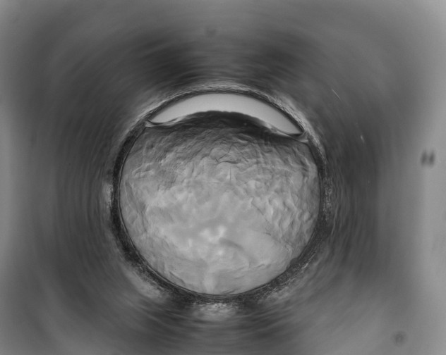 X0000099230063200805151639