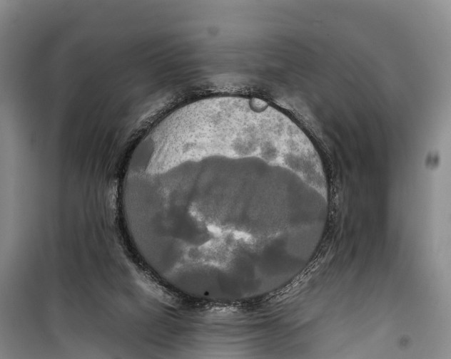 X0000099230066200805151639