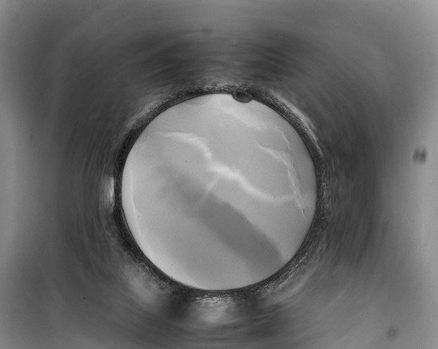 X0000099230067200805151639