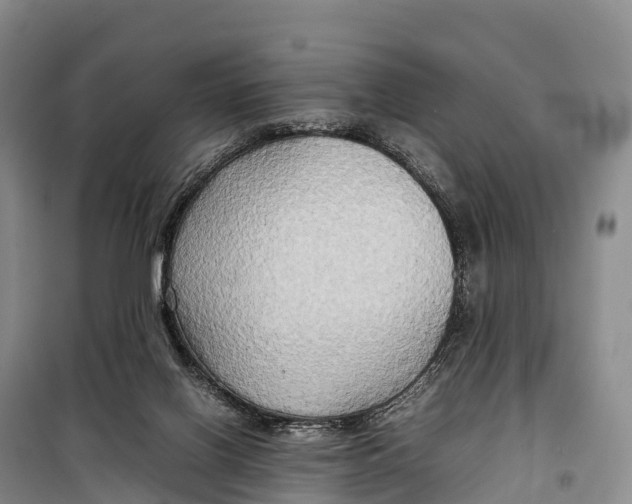 X0000099230070200805151639