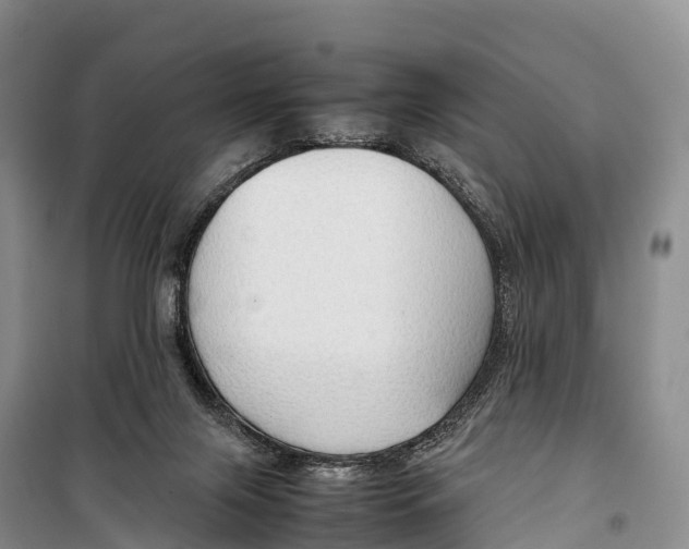 X0000099230071200805151639