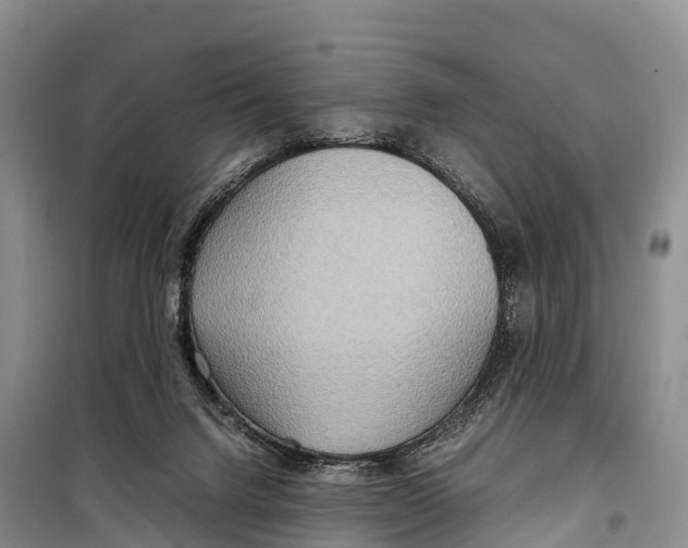 X0000099230072200805151639