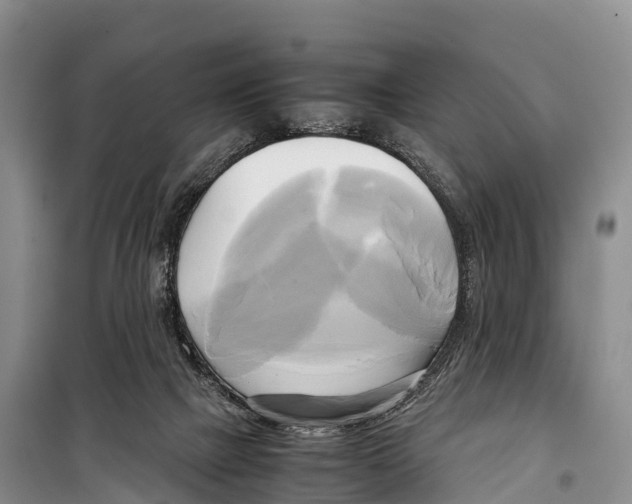 X0000099230073200805151639