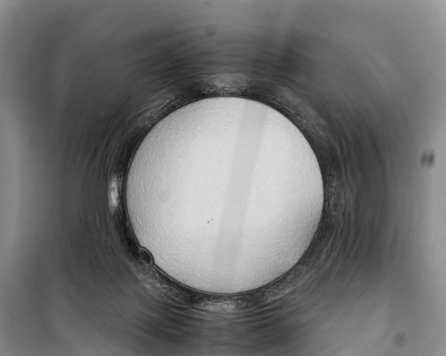 X0000099230075200805151639