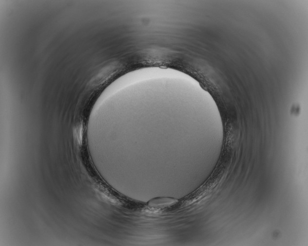 X0000099230076200805151639