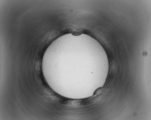 X0000099230078200805151639