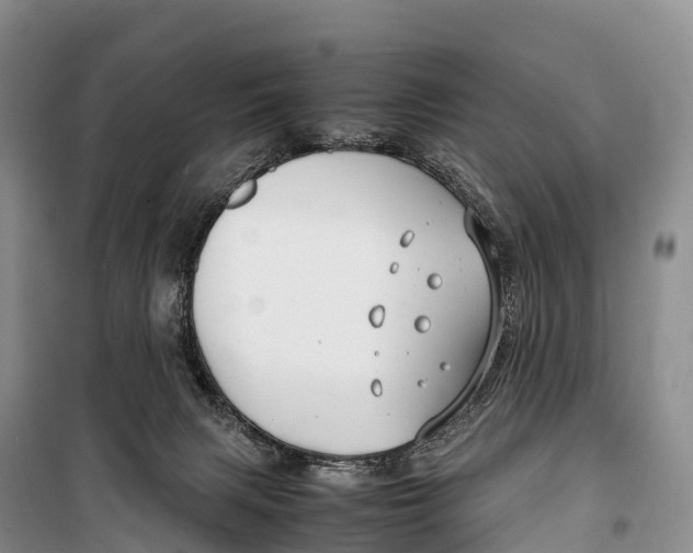 X0000099230079200805151639