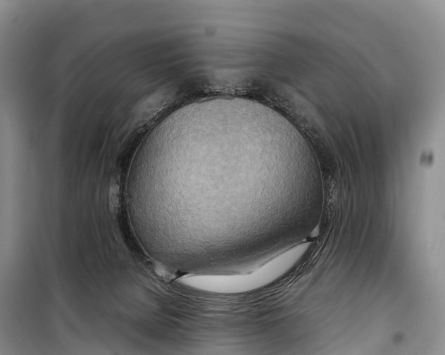 X0000099230080200805151639